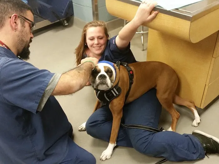 Society Hill Veterinary Hospital 2