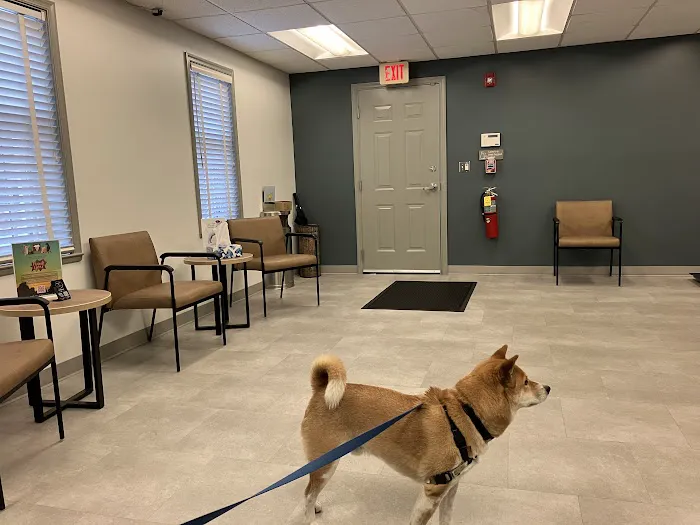 Society Hill Veterinary Hospital 9