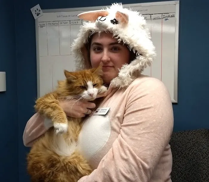 Society Hill Veterinary Hospital 3