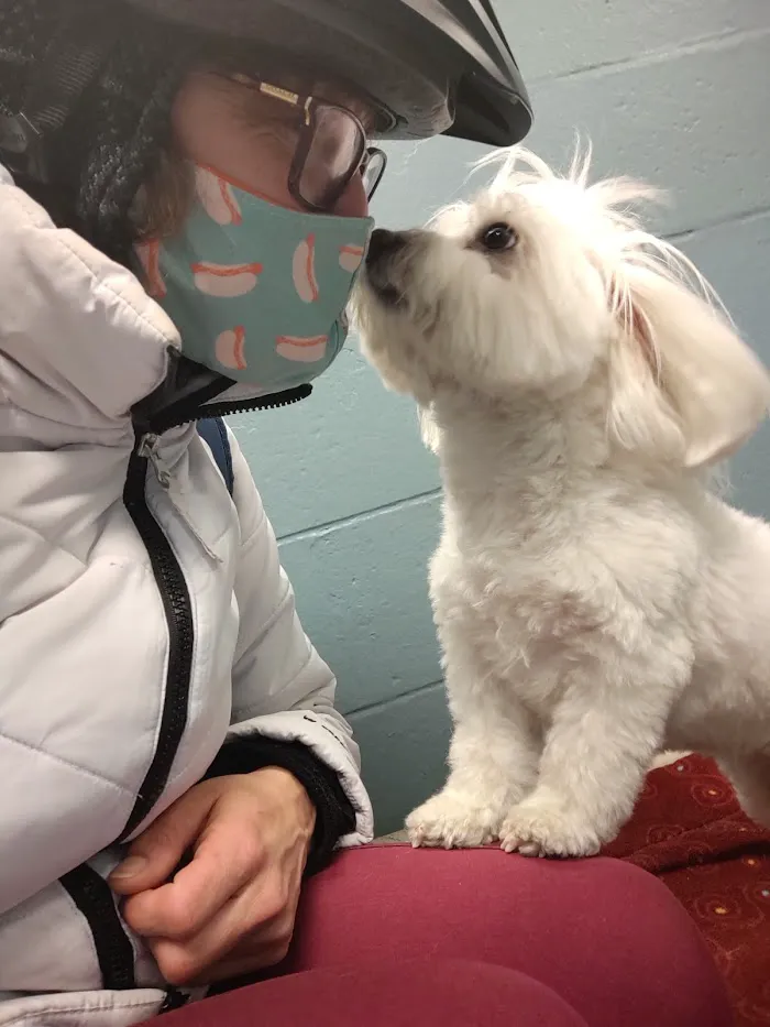 Society Hill Veterinary Hospital 6
