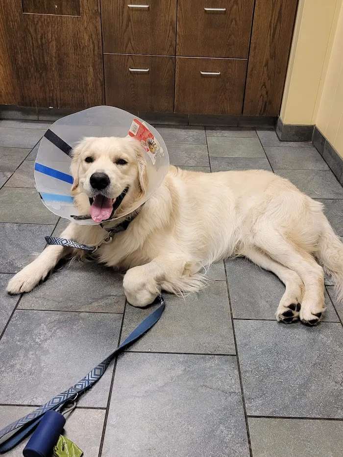 Society Hill Veterinary Hospital 8