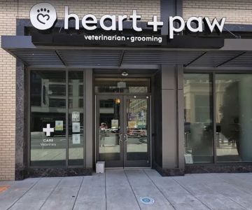 Heart + Paw