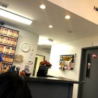 Keystone Veterinary Emergency & Referral, A Thrive Pet Healthcare Partner ico
