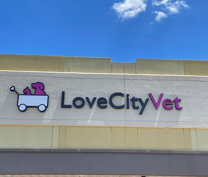 Love City Vet 5