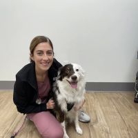Love City Vet ico