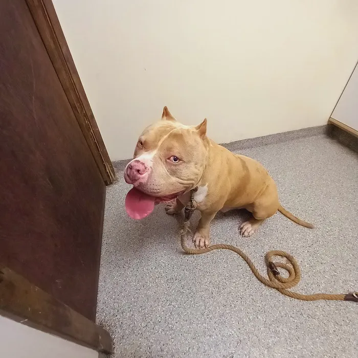 Girard Veterinary Clinic 5