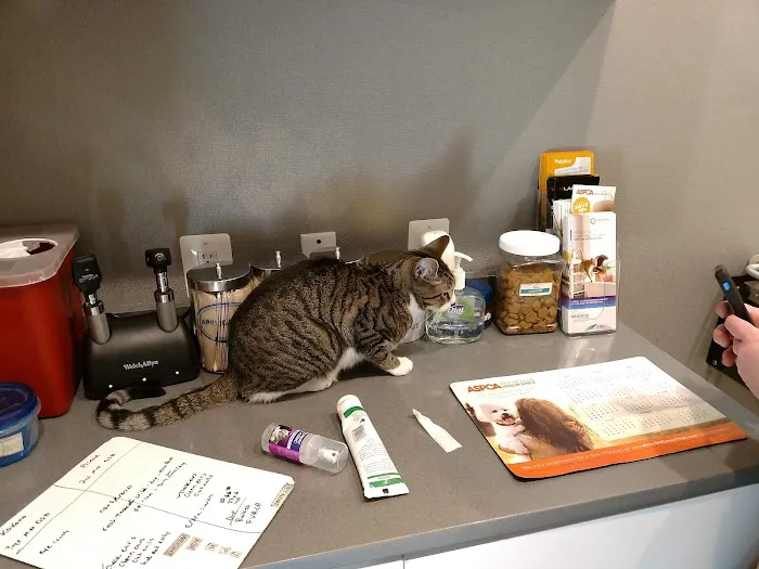 Northern Liberties Veterinary Center 6