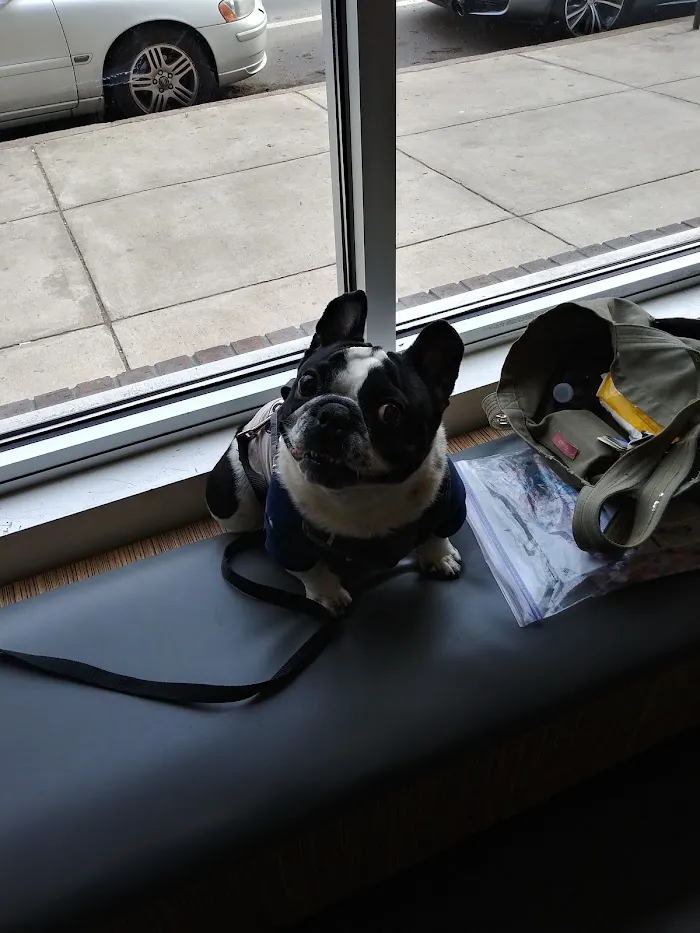 Northern Liberties Veterinary Center 5
