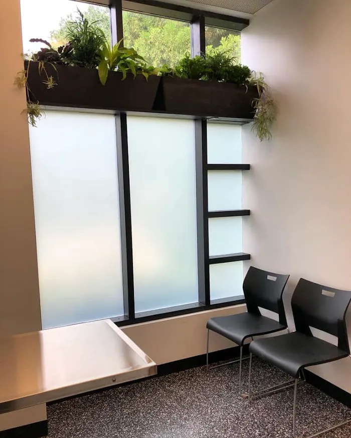 Art City Vets Wellness Center 12