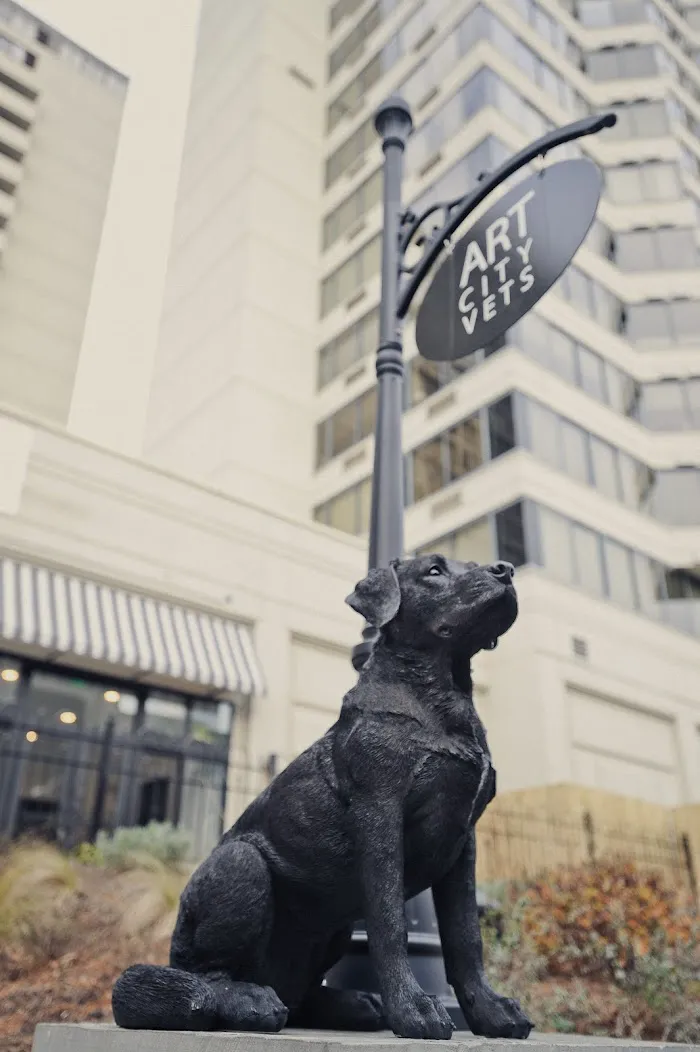 Art City Vets & Urgent Care 12