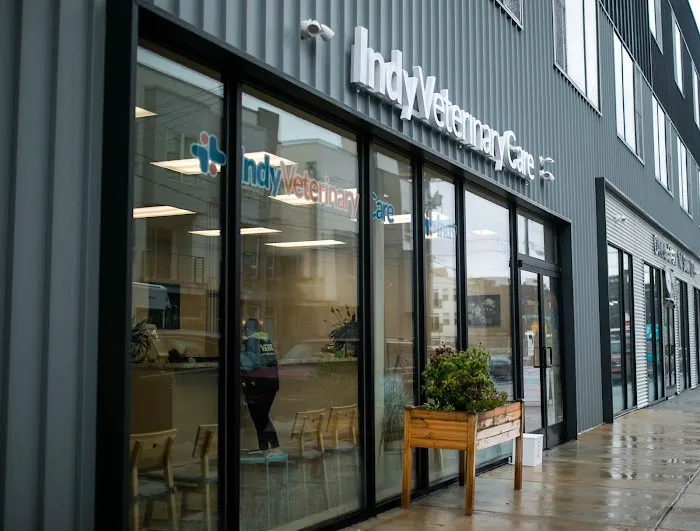Indy Veterinary Care 3