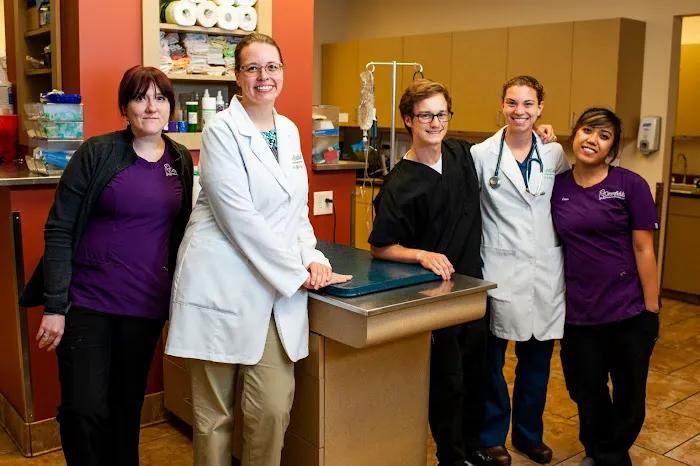 Community Veterinary Partners 12