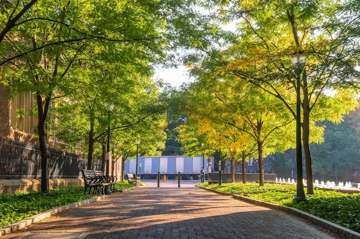 University of Pennsylvania School of Veterinary Medicine 8