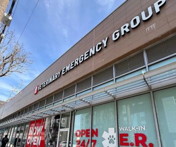 Veterinary Emergency Group