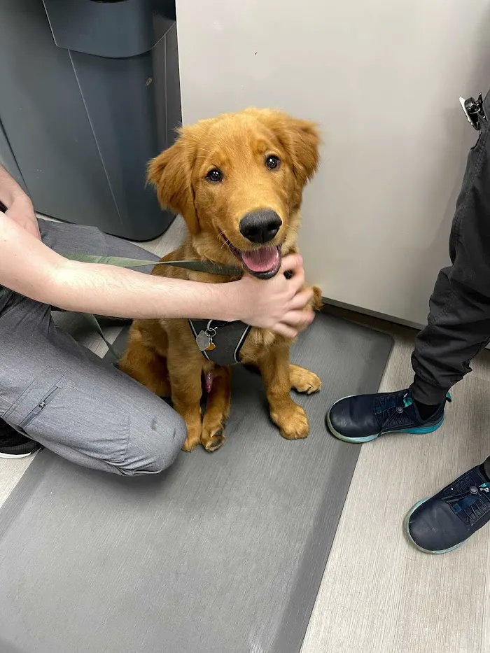 Philadelphia Animal Specialty & Emergency (PASE) 12