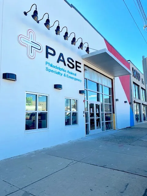 Philadelphia Animal Specialty & Emergency (PASE) 12
