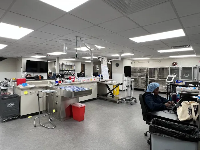 Philadelphia Animal Specialty & Emergency (PASE) 12