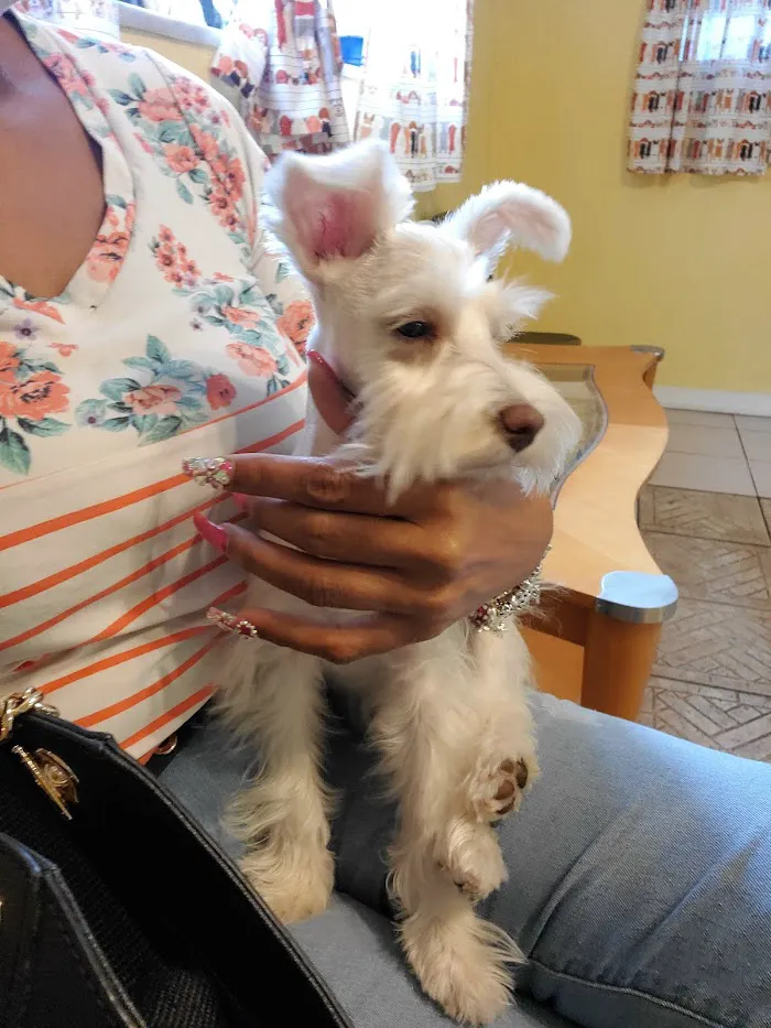 Companion Pet Hospital 12