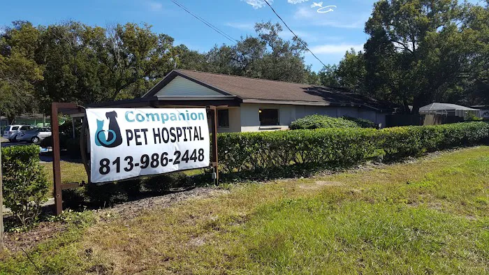 Companion Pet Hospital 12