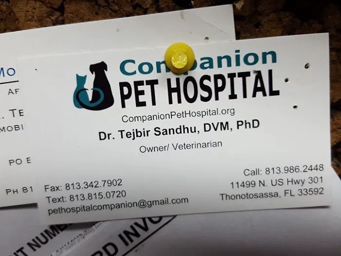 Companion Pet Hospital 12