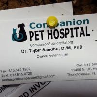 Companion Pet Hospital ico