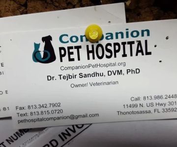 Companion Pet Hospital