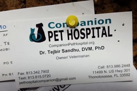 Companion Pet Hospital