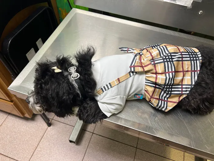 Companion Pet Hospital 12