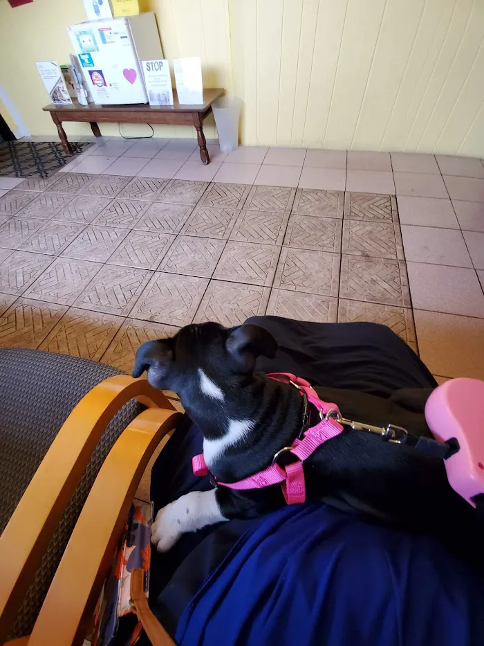 Companion Pet Hospital 12