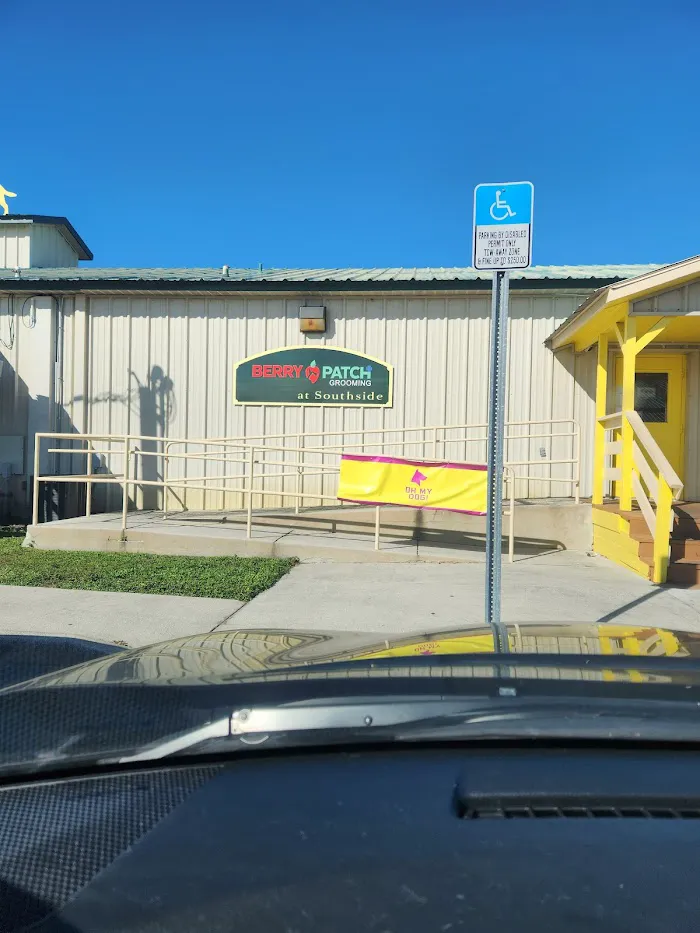 Berry Patch Animal Clinic 6