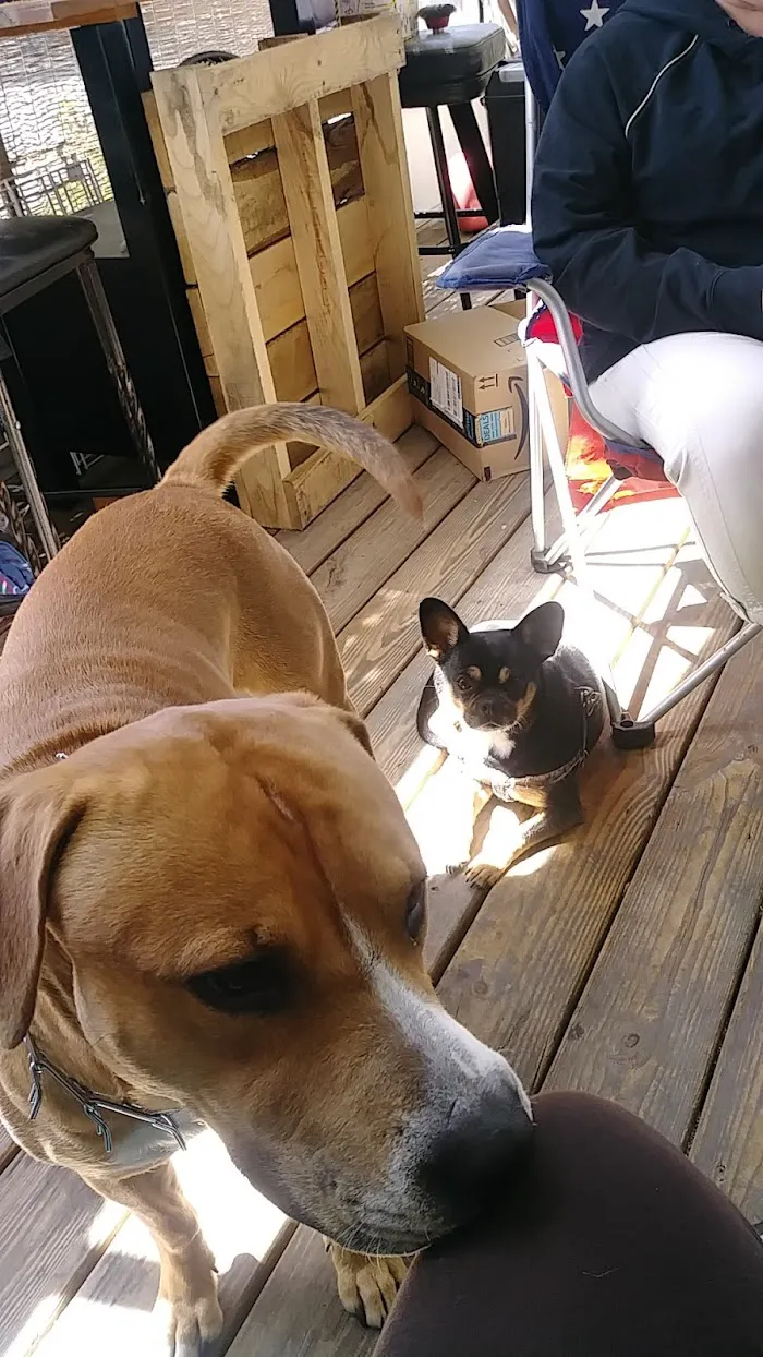 Berry Patch Animal Clinic 7