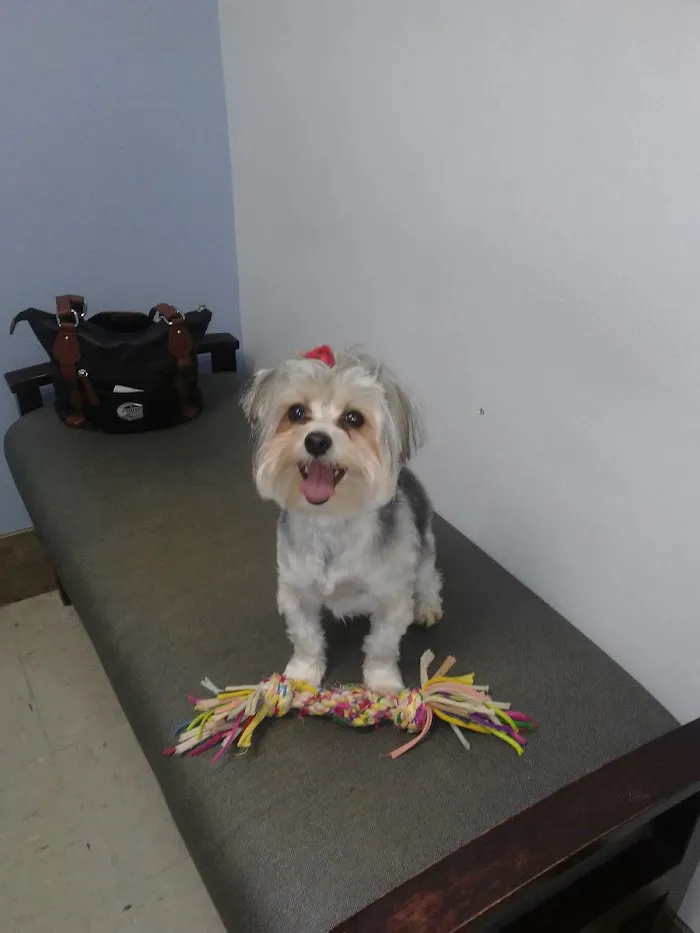 Turkey Creek Animal Hospital 12