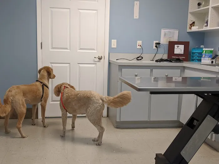 Turkey Creek Animal Hospital 12