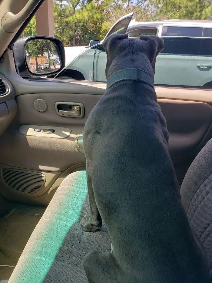 Southbay Animal Hospital 12