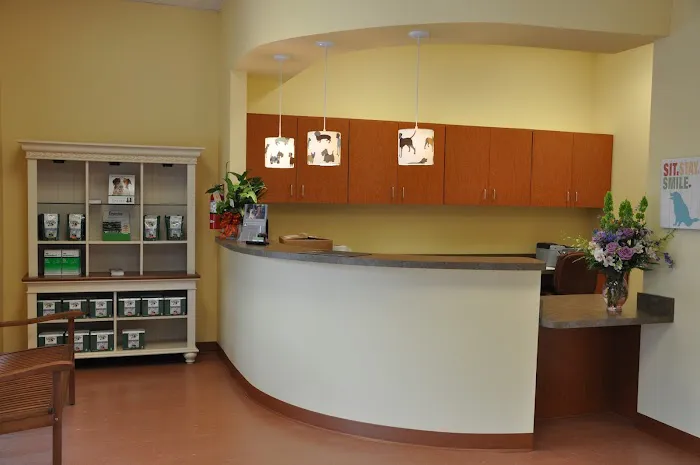 Southbay Animal Hospital 12