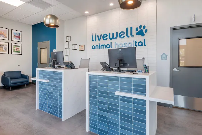 Livewell Animal Hospital of Riverview 6