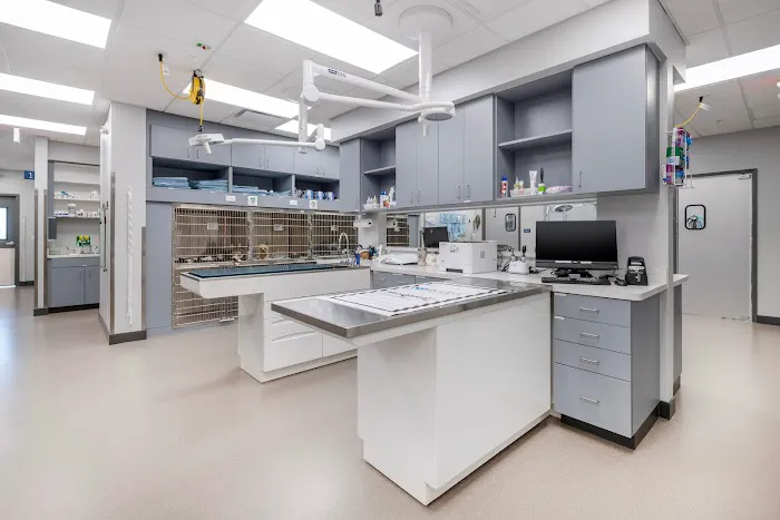 Livewell Animal Hospital of Riverview 5