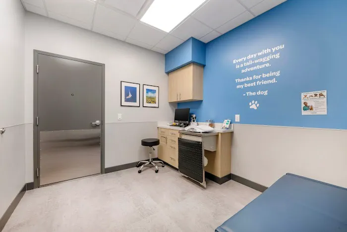 Livewell Animal Hospital of Riverview 4