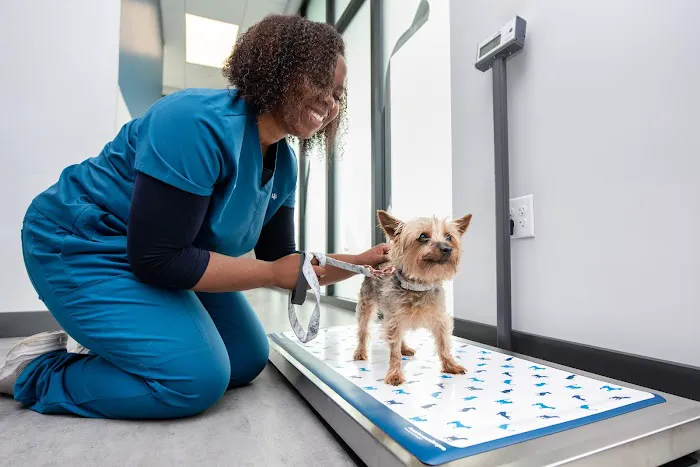 Livewell Animal Hospital of Riverview 1