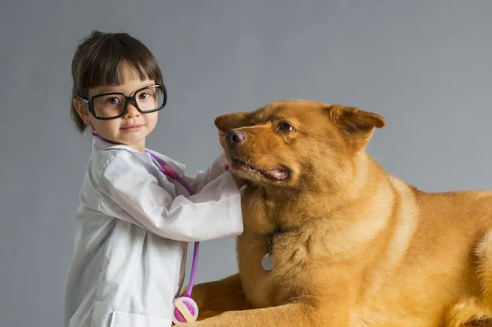 Downtown Animal Care Center 2