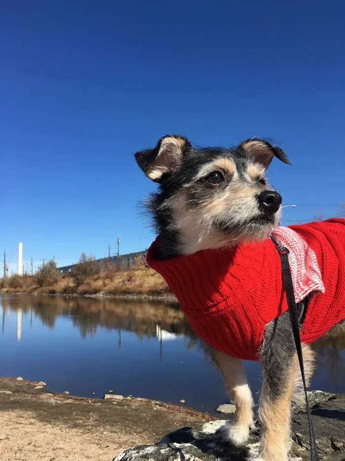 Downtown Animal Care Center 9