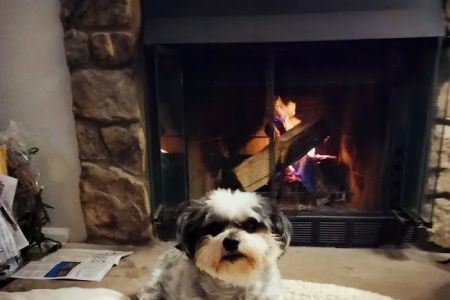 Wadsworth Animal Hospital