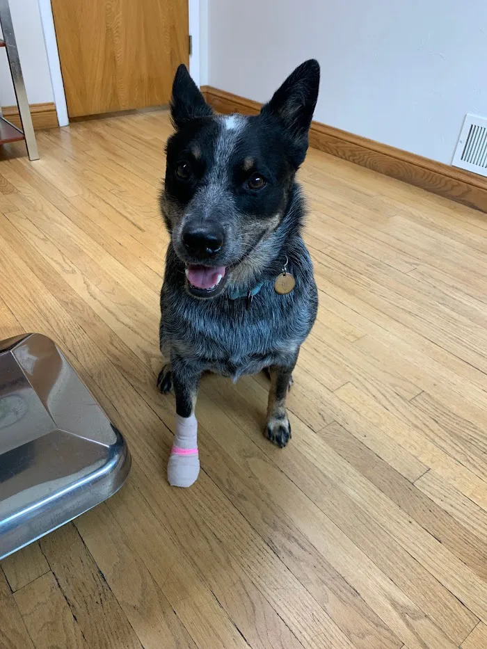 Wadsworth Animal Hospital 12