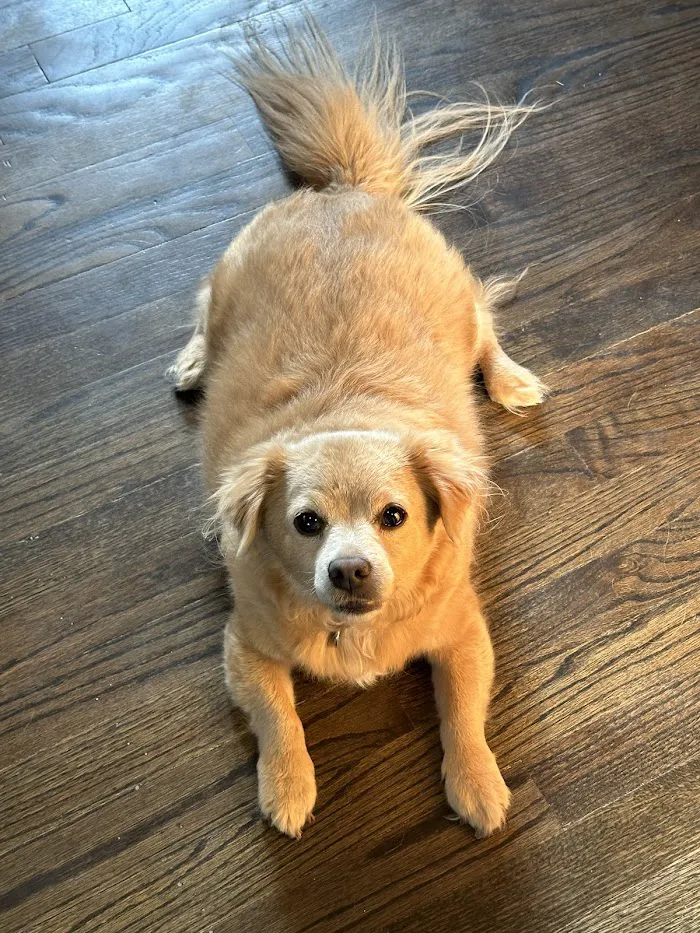 Wadsworth Animal Hospital 12