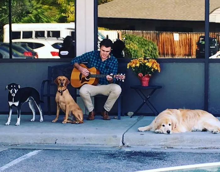Fox Hollow Animal Hospital 12