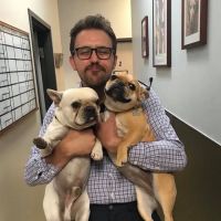 Fox Hollow Animal Hospital ico