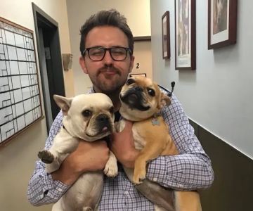 Fox Hollow Animal Hospital