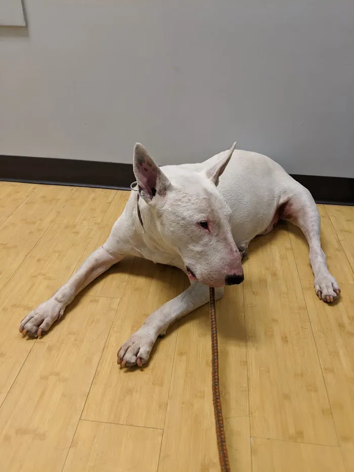 Fox Hollow Animal Hospital 12
