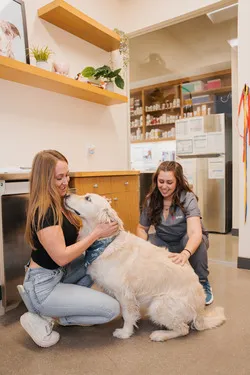 Sploot Veterinary Care - LoDo 12