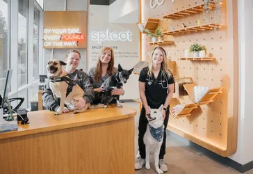 Sploot Veterinary Care - LoDo 12